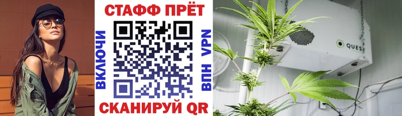 Где купить Балашов mega ONION Меф мяу мяу Гашиш Канабис Бутират