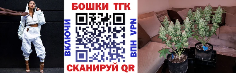 продажа наркотиков Балашов Канабис семена